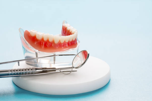 Professional Holistic Dental Care Services in Mount Carmel, IL